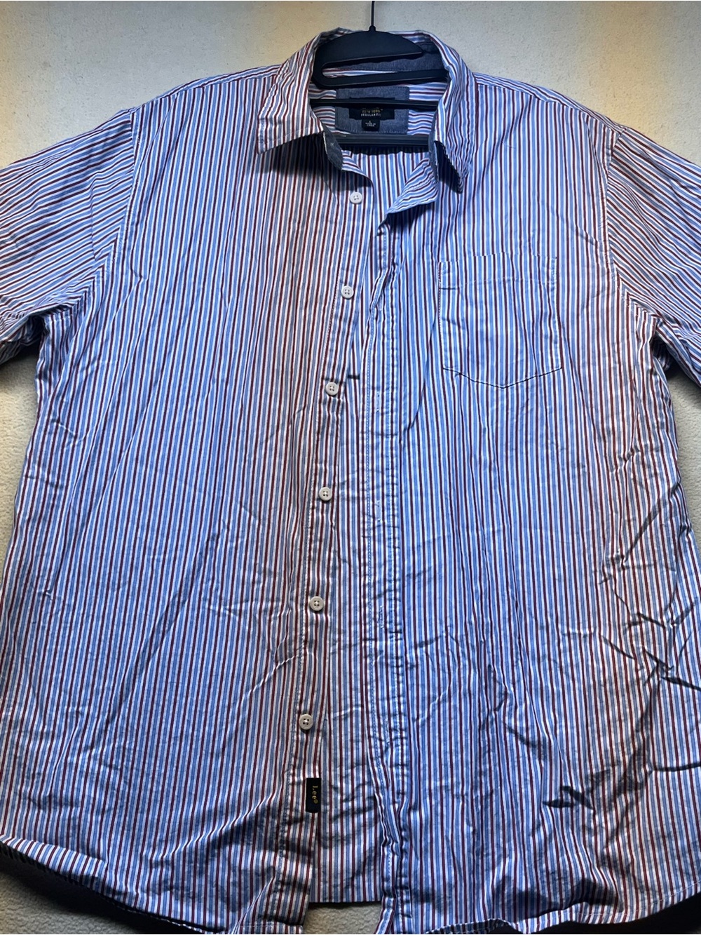 Lee Men's Red and Blue Striped Button-Down Shirt